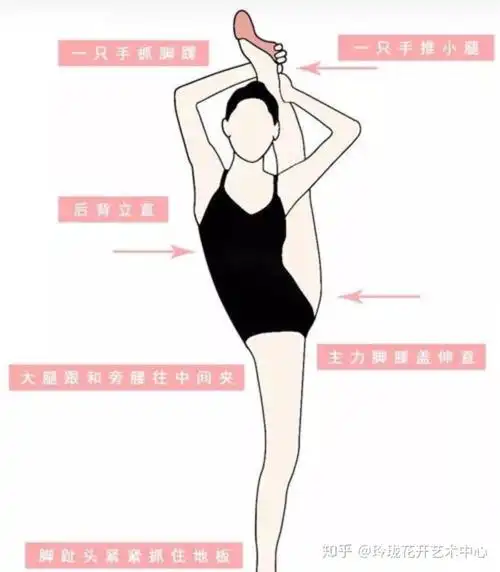 关于舞蹈 - 知乎