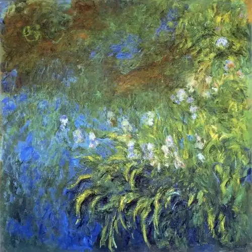 莫奈的鸢尾花