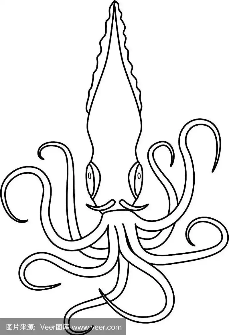 彩色书卡通鱿鱼