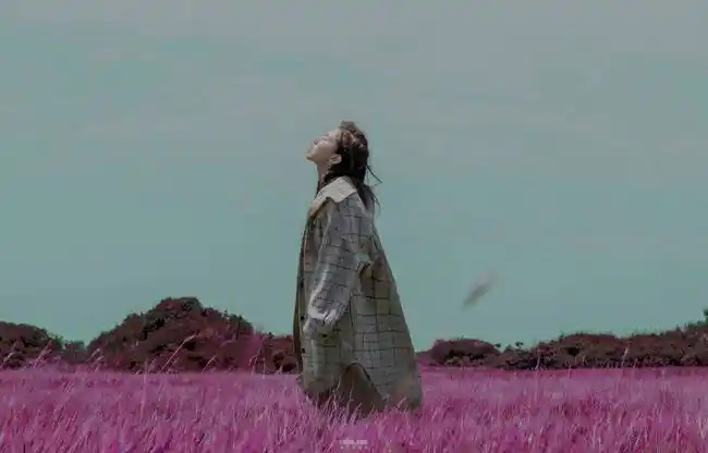 e.m.邓紫棋全新创作单曲《句号》正式上线