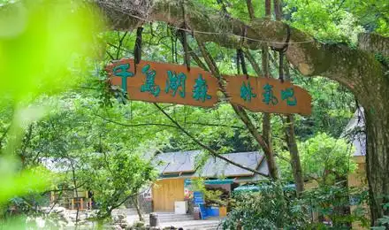 千岛湖森林氧吧门票 (可订森林氧吧/九龙溪/天迹热气球/山地越野卡丁