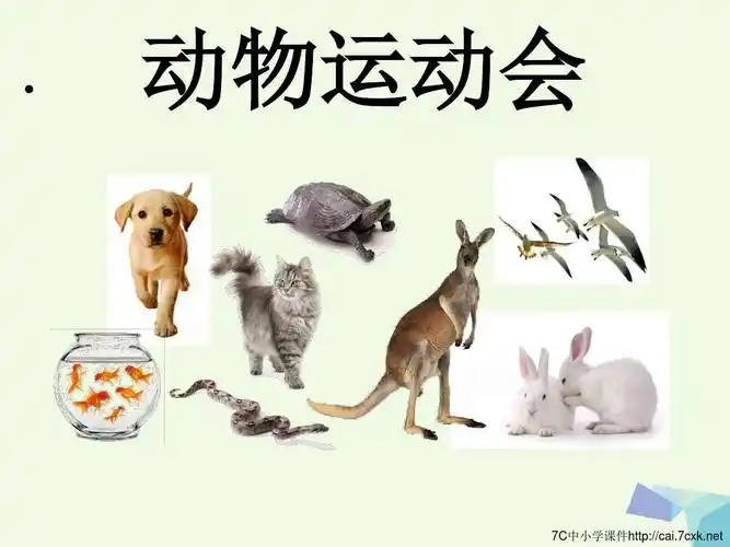 动物运动会