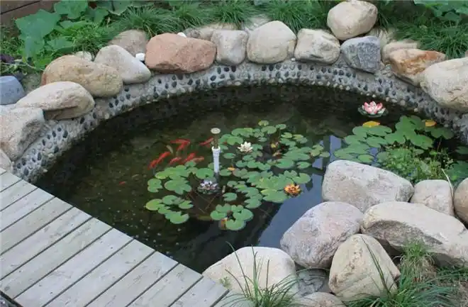 水景建造易养护难,庭院水池怎么养护最好? - 建筑界