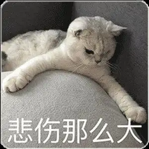 萌宠gif猫星人gif悲伤那么大gif搞怪gif逗gif