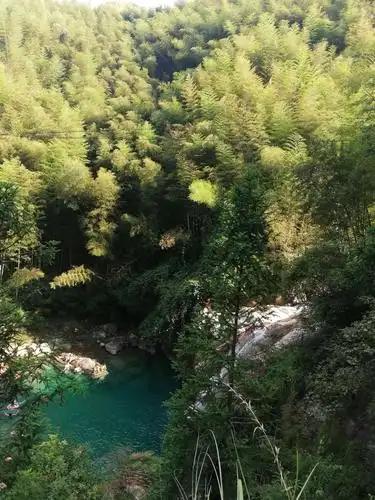 仙居淡竹龙潭头