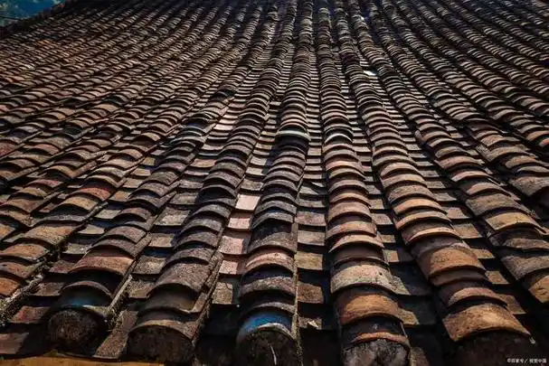 屋顶瓦片破损需要及时维修,以防止进一步的损坏和漏水.