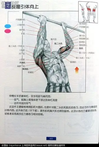铁血网提醒您:点击查看大图