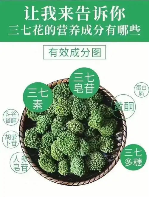 每天泡上一杯三七花好处多多