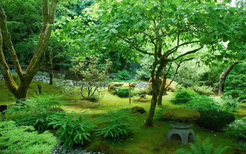 花园,加拿大,公园,树木,绿化