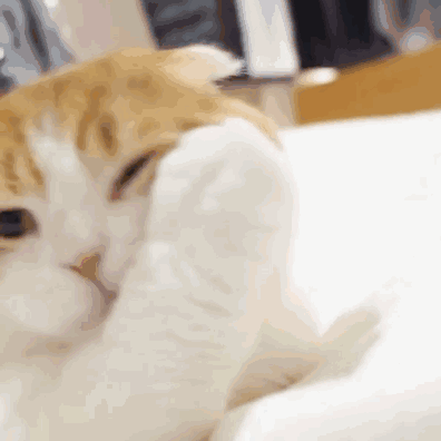 396_396gif 动态图 动图