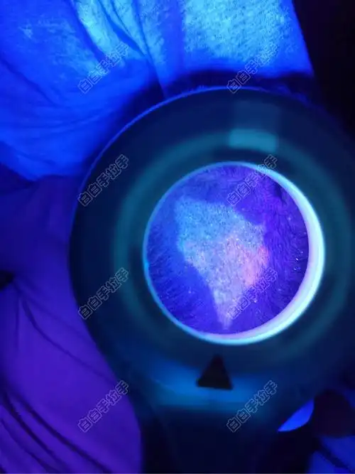 麻烦家人们帮忙看看白白在伍德灯下怎么是两种颜色啊