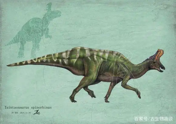 现在的棘鼻青岛龙向前上方伸展的头饰