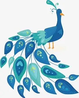 蓝绿色羽毛美丽孔雀(1399x1742)aipng彩色羽毛背景(626x626)psdpng