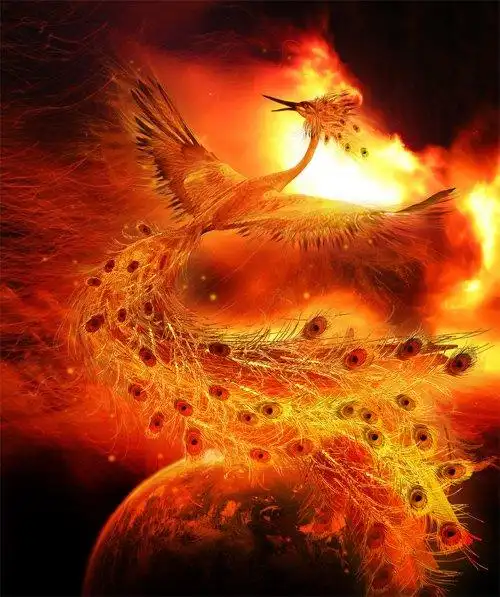 30张漂亮的凤凰插画欣赏