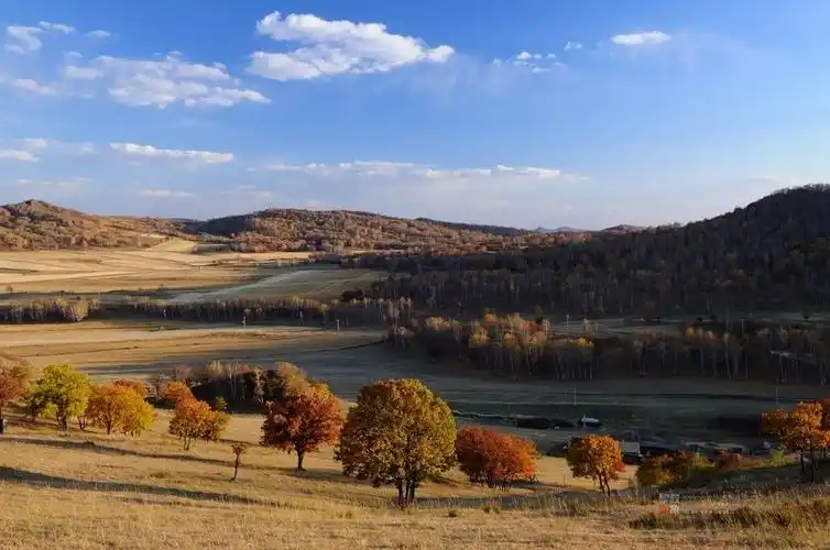 很黄很绚丽~~~坝上秋韵赞