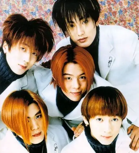 明星示范杀马特 洗剪吹造型玩得转(组图)(14)