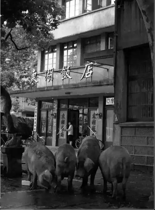 临海绝版老照片流出,唤醒多少人尘封的记忆!