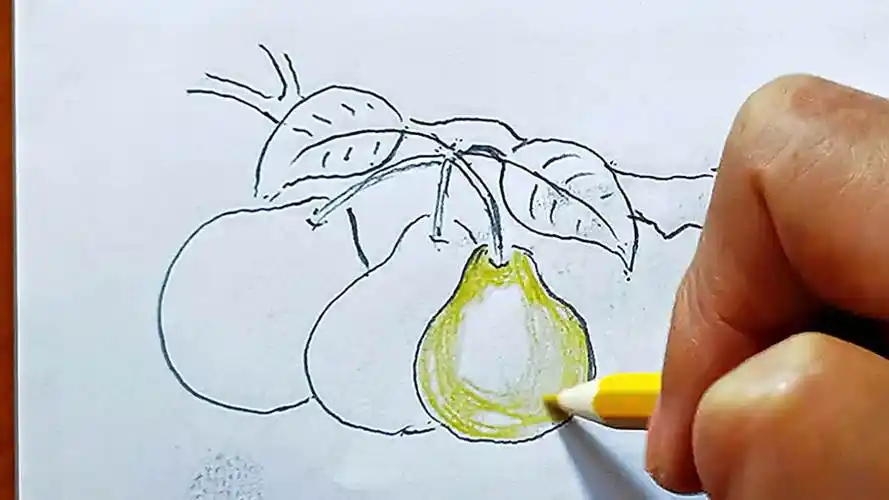 儿童简笔画:柚子树(2#一起过中秋 )-母婴亲子视频-搜狐视频