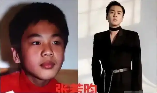 刘蓓两度成张若昀后妈容忍张健花心她究竟所求何物