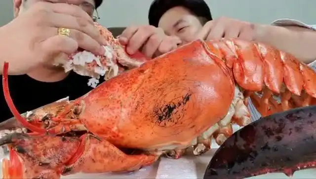韩国兄弟吃播,8斤重的大龙虾抢着吃,这肉质太满足了