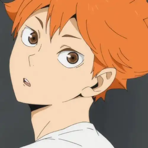 排球少年超话元气满满的翔阳小天使!#小太阳头像##二次元新鲜事