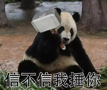信不信我锤你 - 一波大熊猫表情包