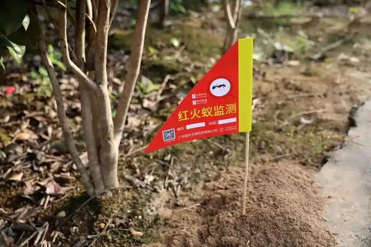 红火蚁防控取得阶段性成效 多地红火蚁危害得到有效遏制