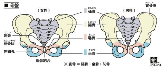 11区权威大评选:最有女人味的性感坐姿是?