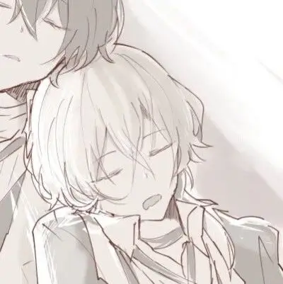 文豪野犬双黑基头