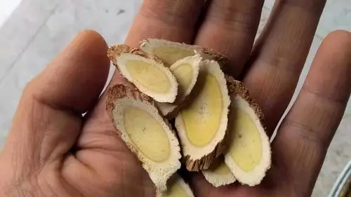 你可能买到了野生黄芪中的伪野生货原来这么做可以杜绝假货