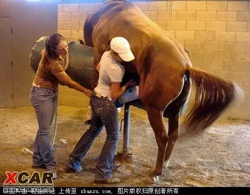 三个大洋马一起打飞机!(有图有真相!