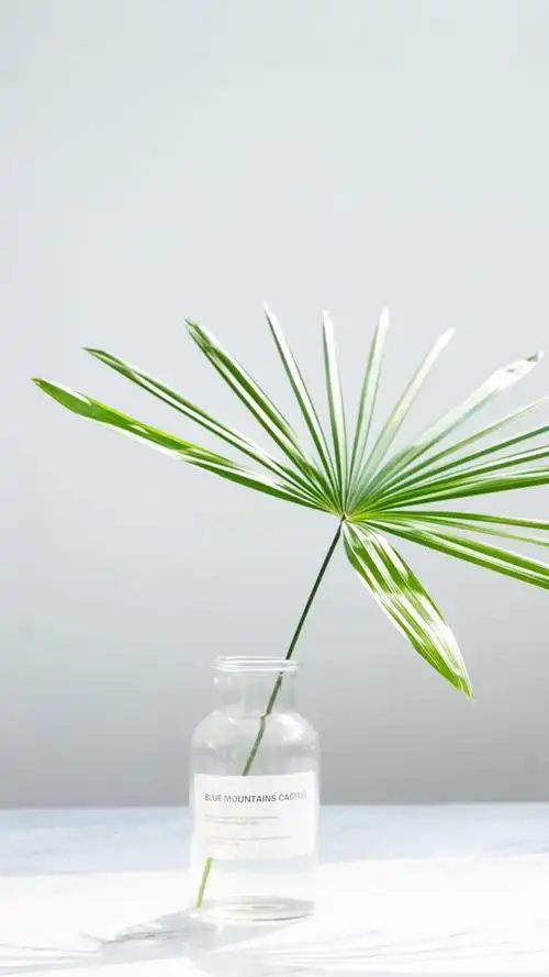 小清新绿色植物图片手机壁纸