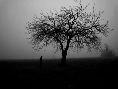 心轮的心魔:伤痛