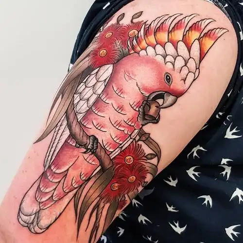 大臂newschool鹦鹉纹身图案