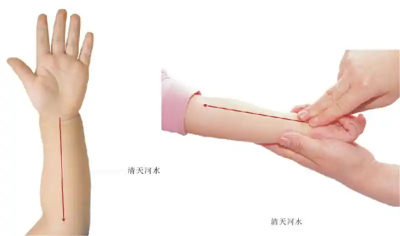 主治:外感发热,口渴,口干,烦躁,夜啼,睡眠不宁,口疮,重舌,木舌,伸舌