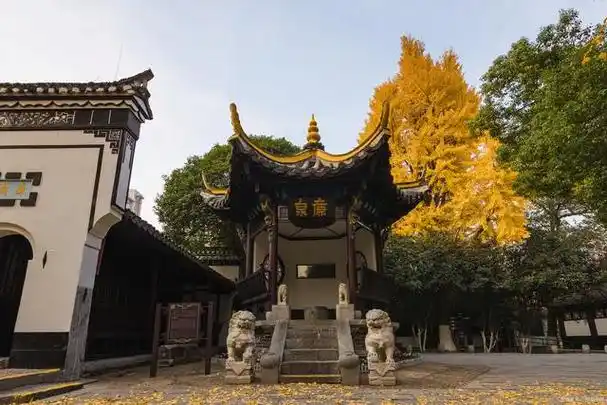 本攻略将为您介绍合肥市内的五个旅游景点,包括交通,门票