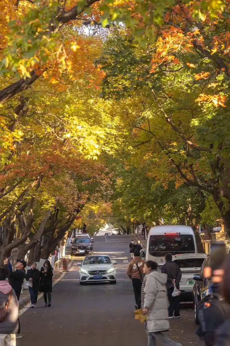 以为青岛只是个海滨城市,没想到秋天的色彩.也很美!#这样拍也 - 抖音