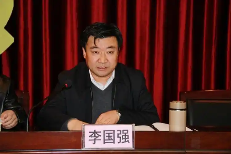 县人民政府副县长李国强传达了全市违法建设整治