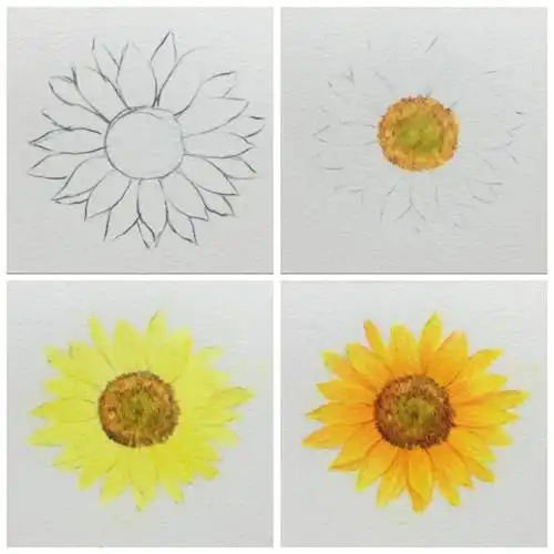 彩铅向日葵绘画步骤图分享