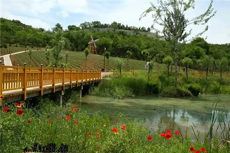 万紫千红看花海春来宝鸡优惠活动看这里