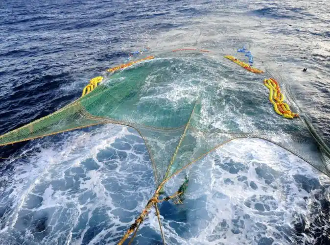 甚至还出动了专门的捕虾船对它进行捕捞,虽然中国开展捕捞南极磷虾的