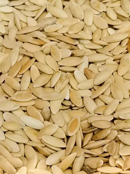 黄瓜籽,原创拍摄|黄瓜籽|原创|拍摄_新浪新闻