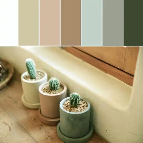 【拾一缕色,慰一季阳光】----莫兰迪色系色卡