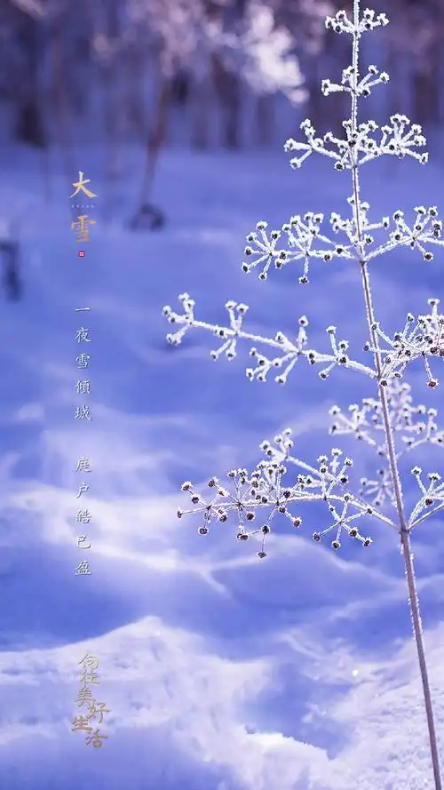 24节气大雪图片手机壁纸