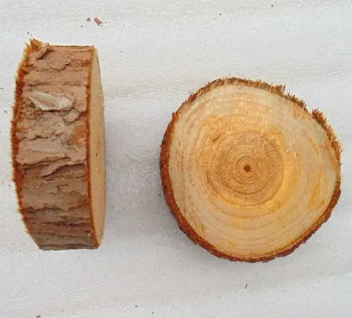 天然 杉木条杉木片小圆柱木头桩子 原木装饰圆木片干树枝拍照道具