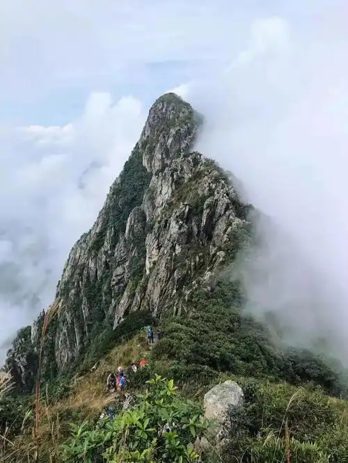 由龙头,龙中,龙尾三部分相连的山脉组成,像一条腾飞的巨龙,其中龙中