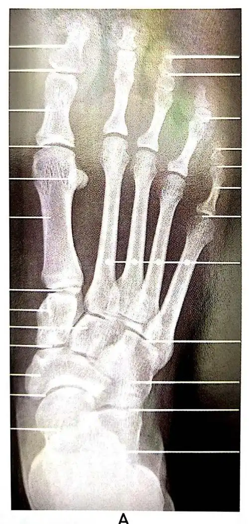 《看看足吧》|大畅带你来看图!