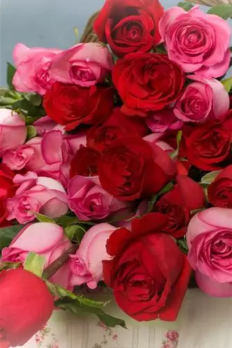 粉红色和红色的玫瑰,鲜花,篮子 iphone 壁纸