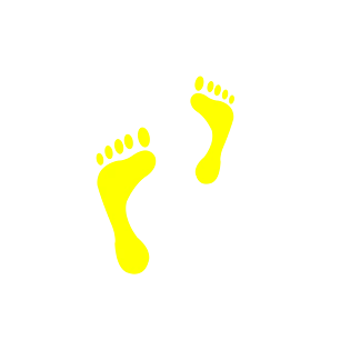 动物脚印图片大全