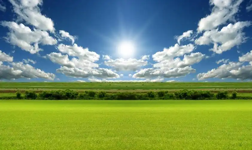 蓝天白云下美丽草原草坪草地图片